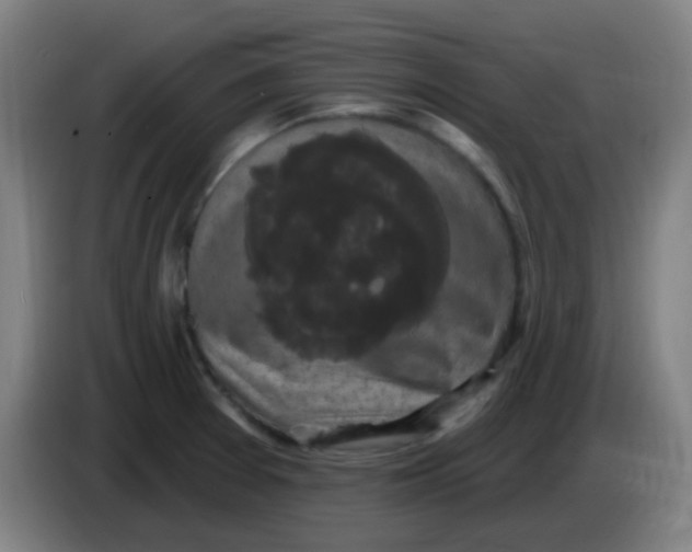 X0000085221377200703301654