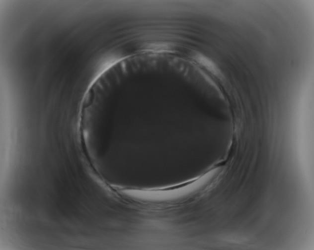 X0000085221378200703301654