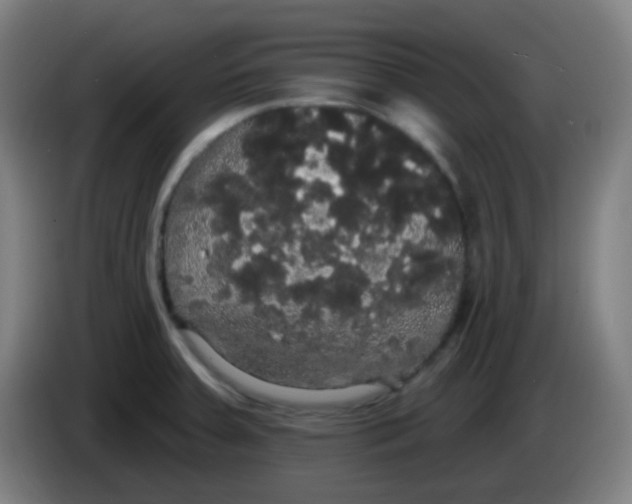 X0000085221379200703301654