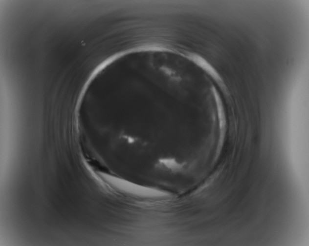 X0000085221380200703301654