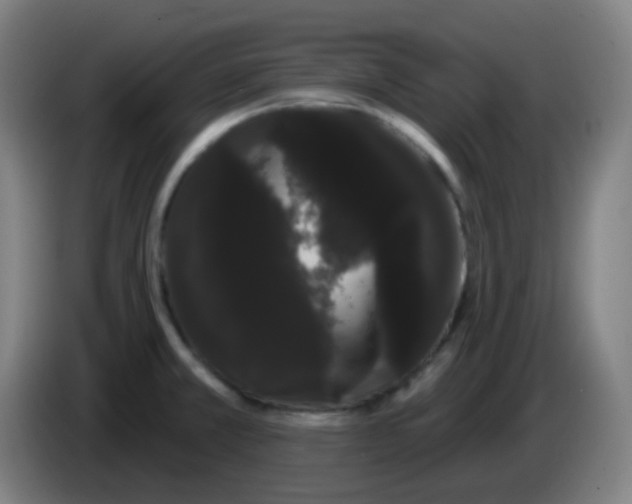 X0000085221381200703301654