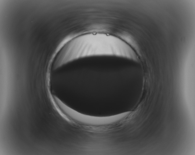 X0000085221383200703301654