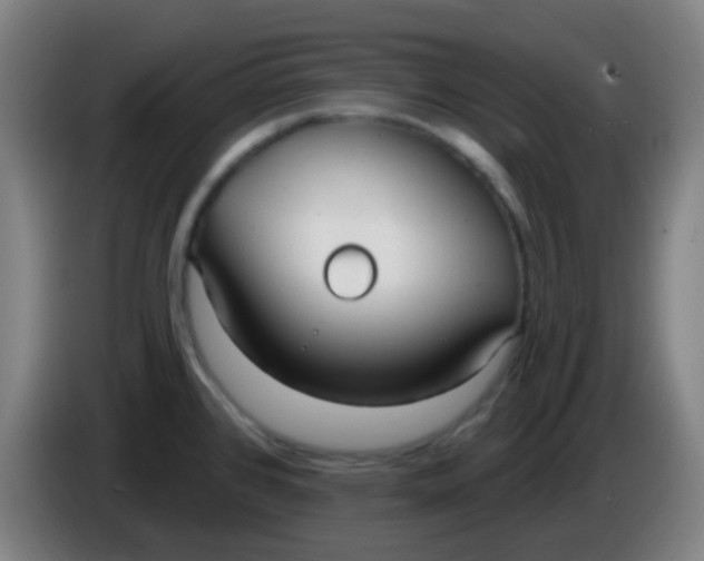 X0000085221384200703301654