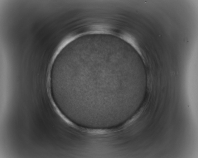 X0000085221387200703301654