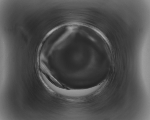 X0000085221388200703301654