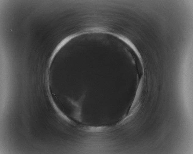X0000085221389200703301654