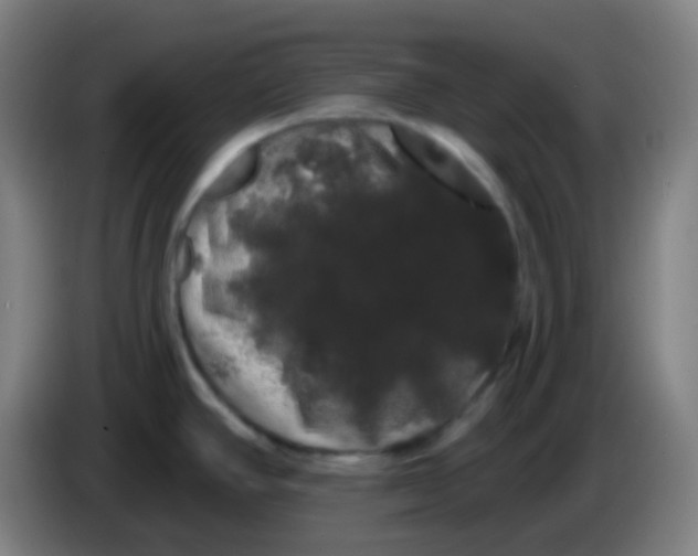 X0000085221390200703301654