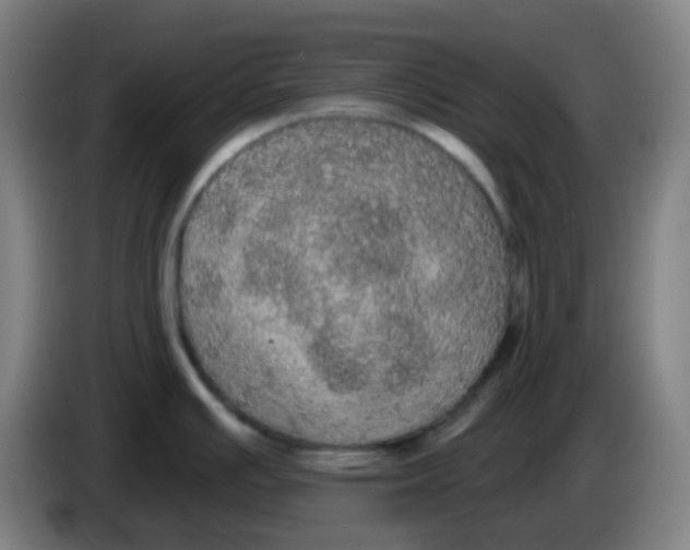 X0000085221391200703301654