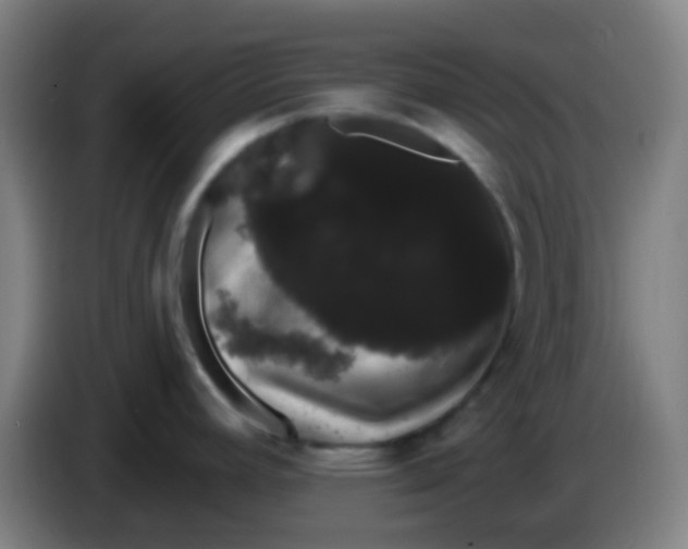 X0000085221392200703301654