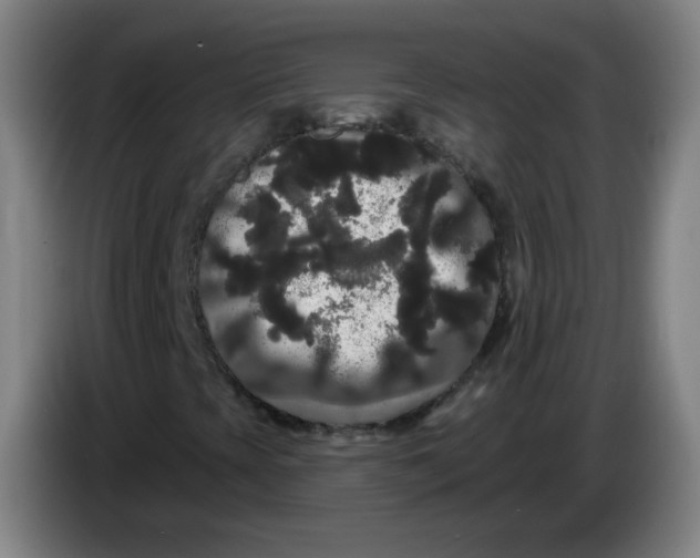 X0000085221393200703301653
