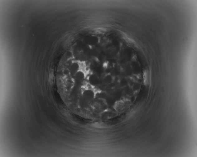 X0000085221395200703301653