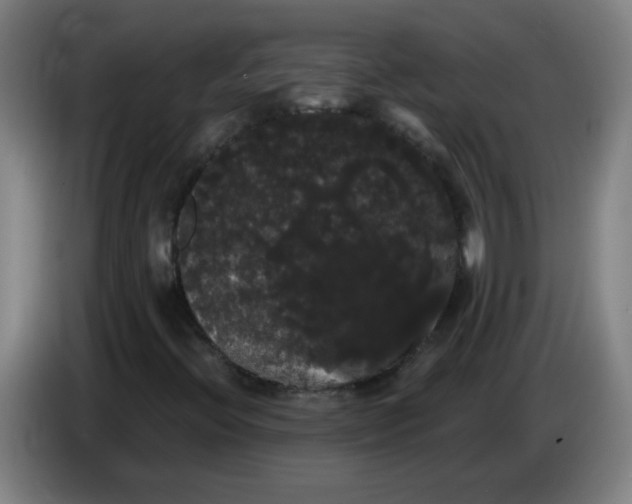 X0000085221396200703301653