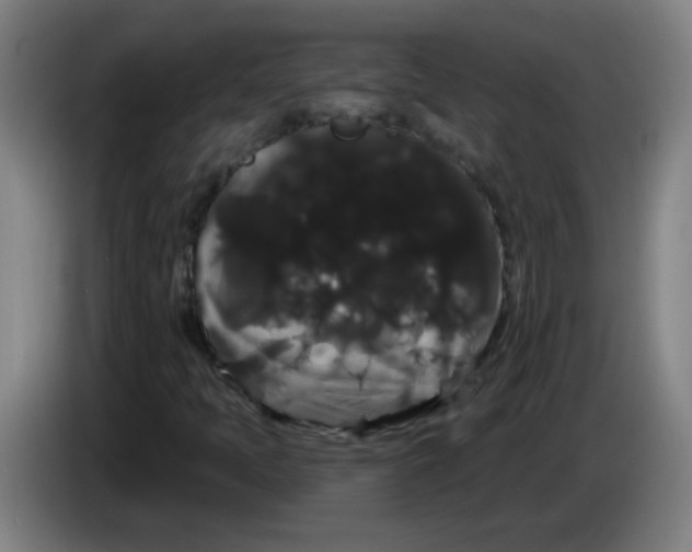 X0000085221397200703301653