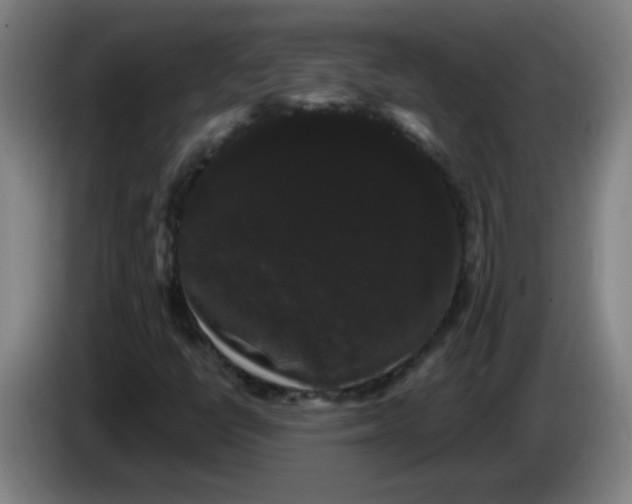 X0000085221398200703301653