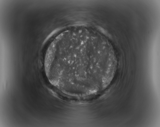 X0000085221400200703301653