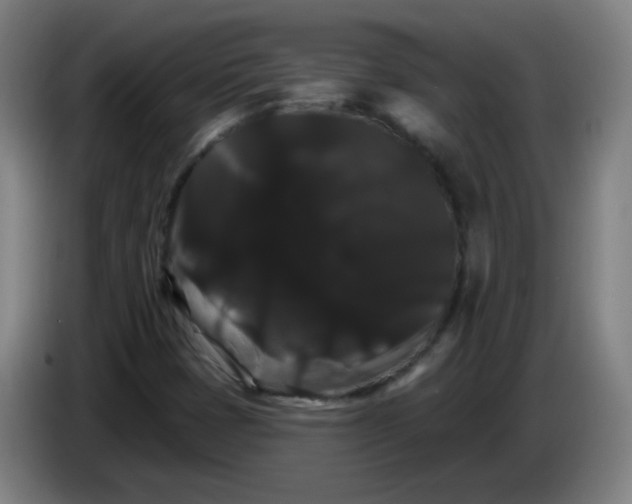 X0000085221401200703301653