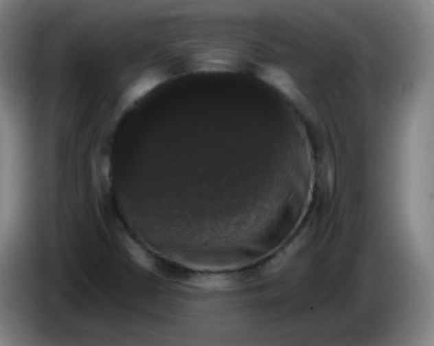 X0000085221402200703301653