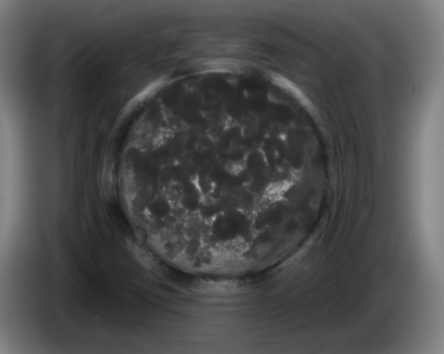 X0000085221403200703301653
