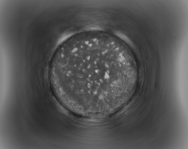 X0000085221404200703301653