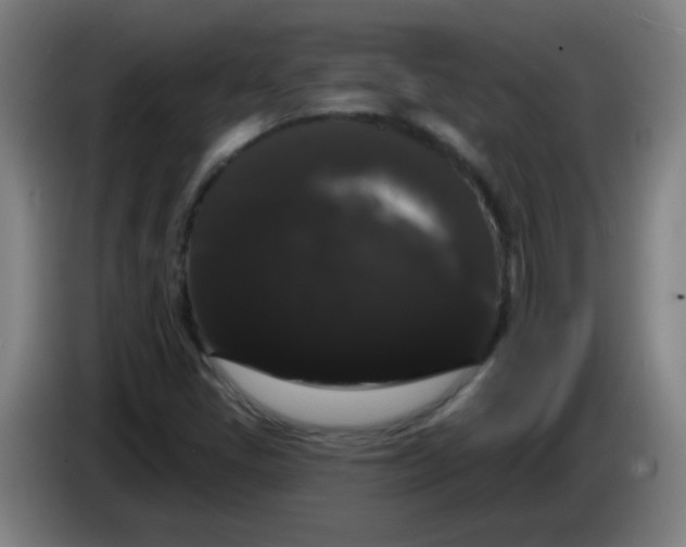 X0000085221405200703301653