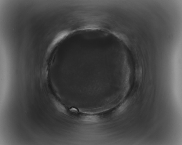 X0000085221406200703301653