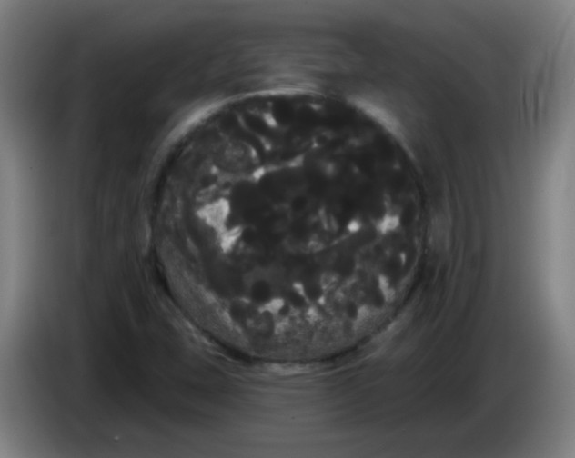 X0000085221407200703301653