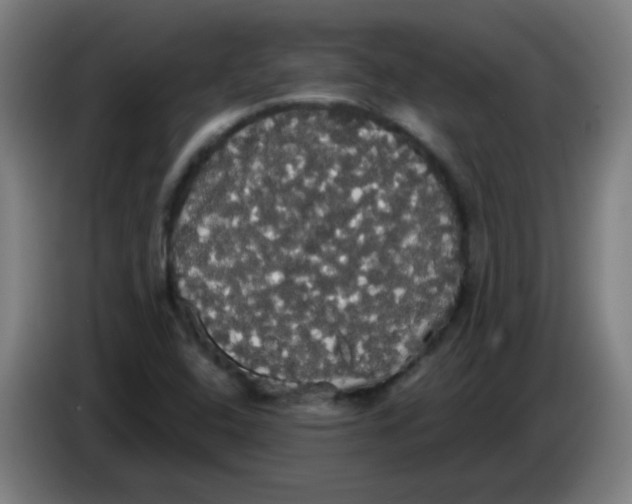 X0000085221408200703301653