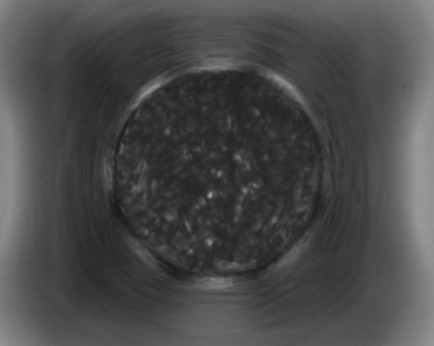 X0000085221409200703301653