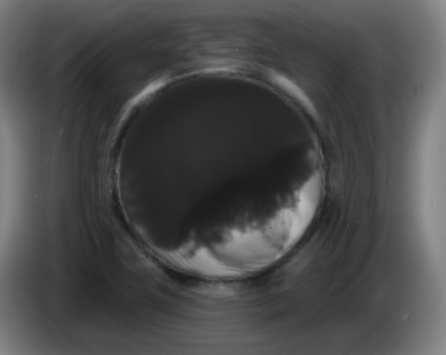 X0000085221411200703301653