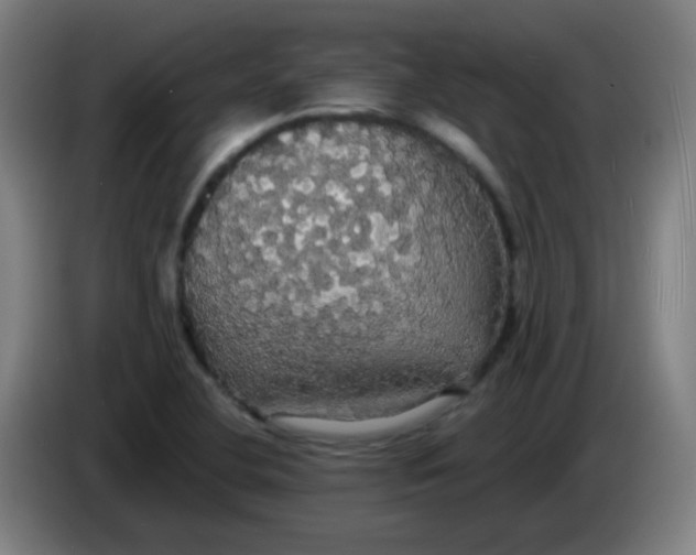 X0000085221412200703301653
