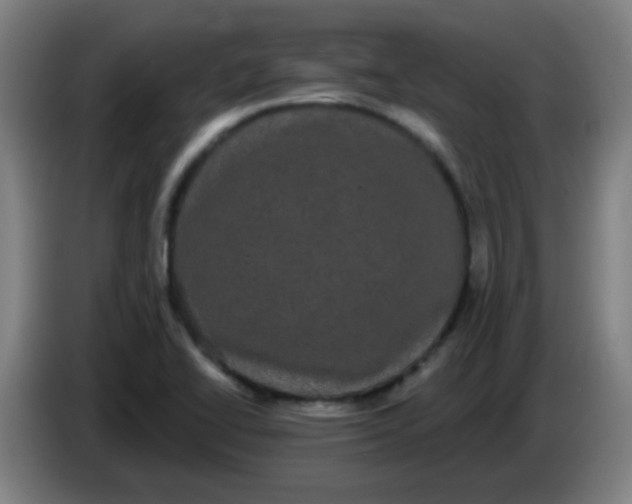 X0000085221414200703301653