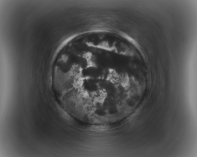 X0000085221415200703301653