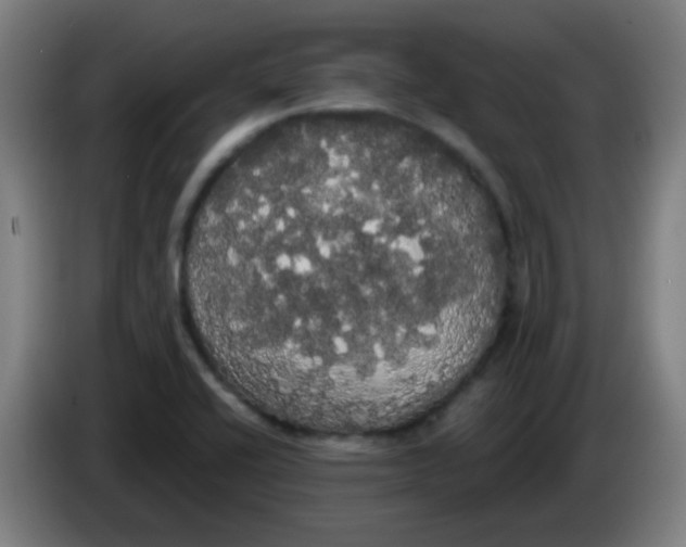 X0000085221416200703301653