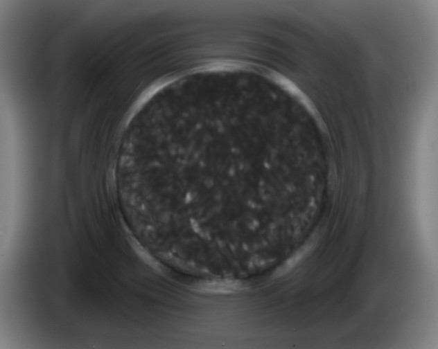 X0000085221417200703301653