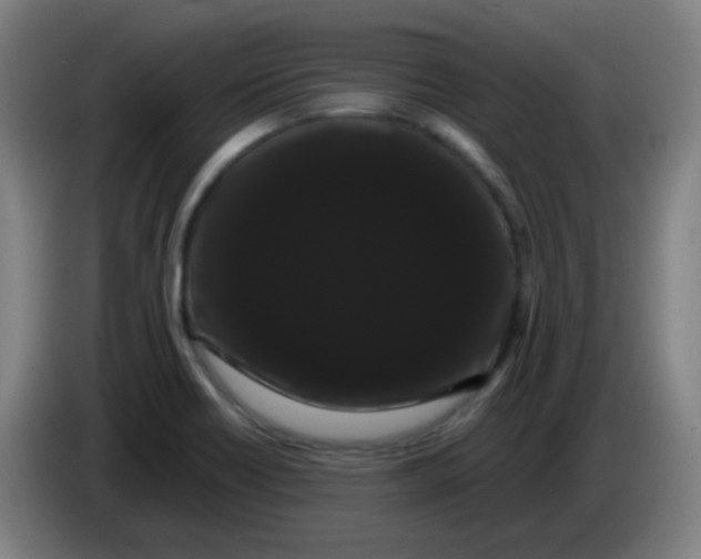 X0000085221418200703301653
