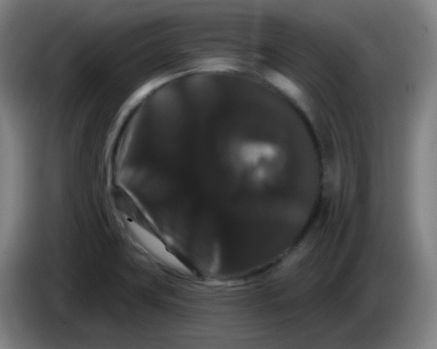 X0000085221419200703301653
