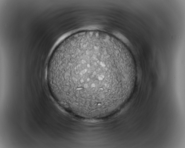 X0000085221420200703301653