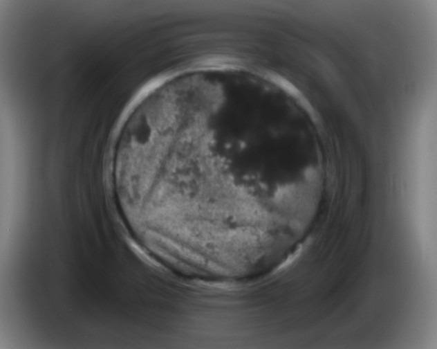 X0000085221421200703301653