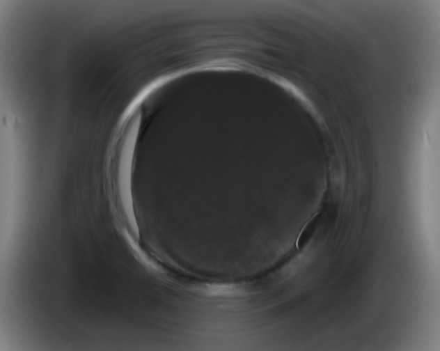 X0000085221422200703301653