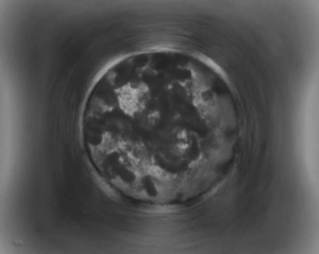X0000085221423200703301653