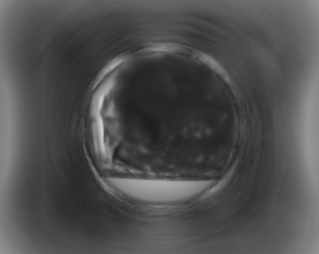 X0000085221425200703301653