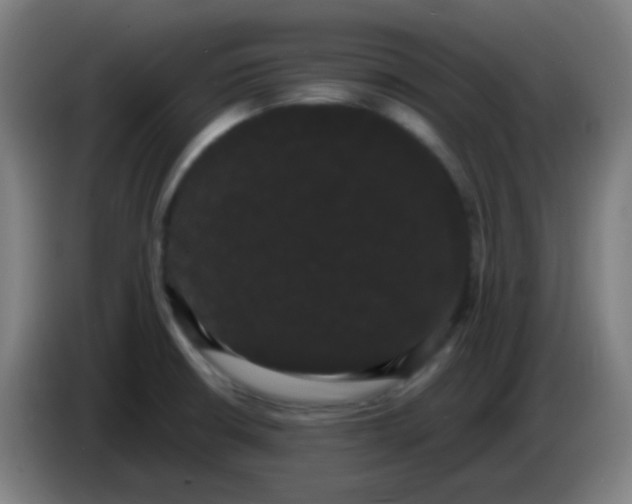 X0000085221426200703301653