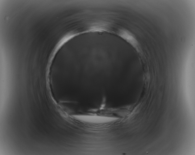 X0000085221427200703301654
