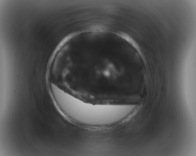 X0000085221429200703301654