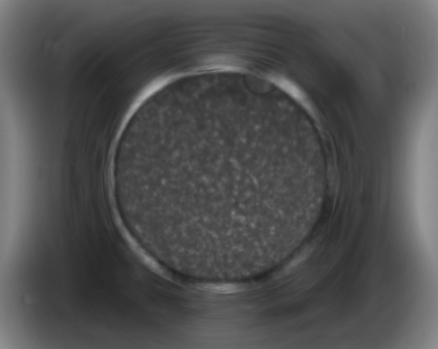 X0000085221431200703301654