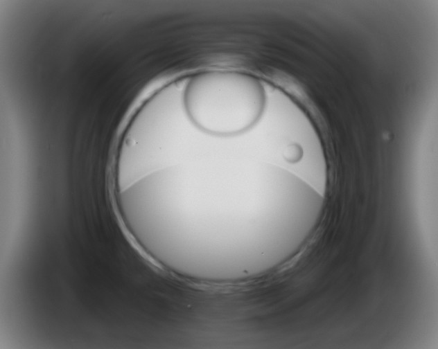 X0000085221432200703301654