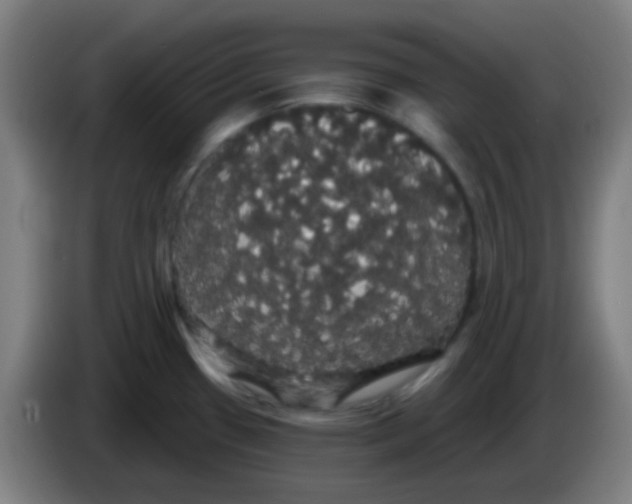X0000085221433200703301654