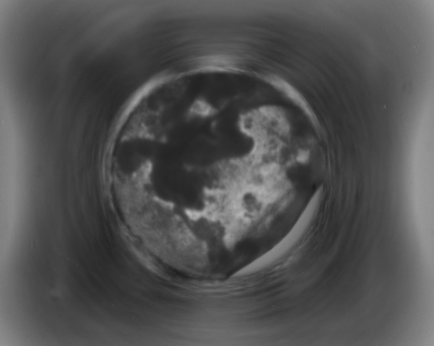 X0000085221435200703301654