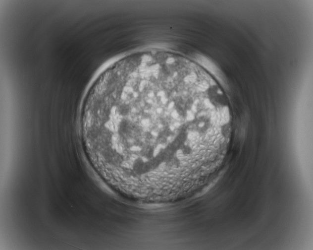 X0000085221436200703301654