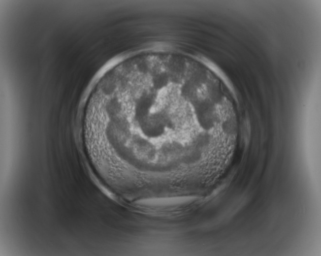X0000085221437200703301654